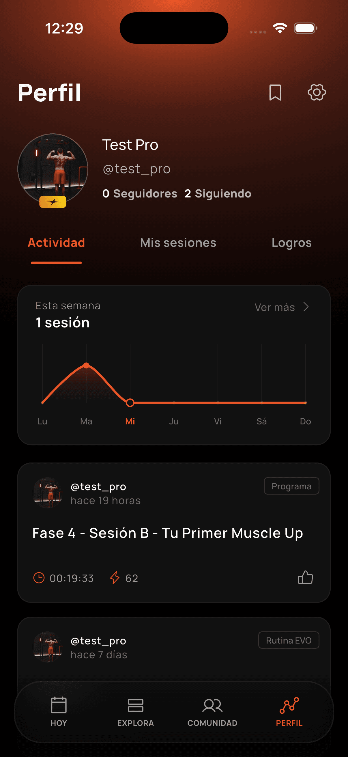 Secciones del perfil