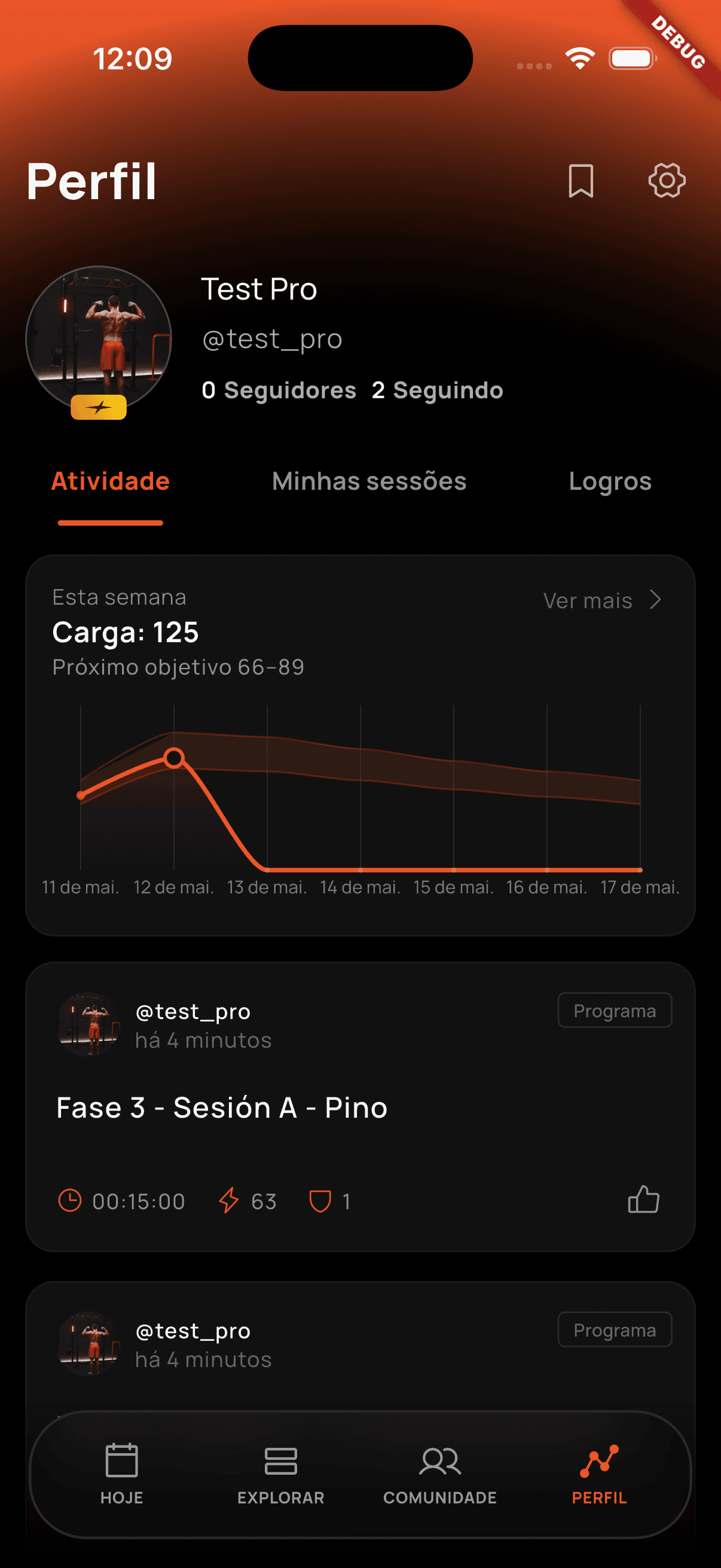 Seções do perfil