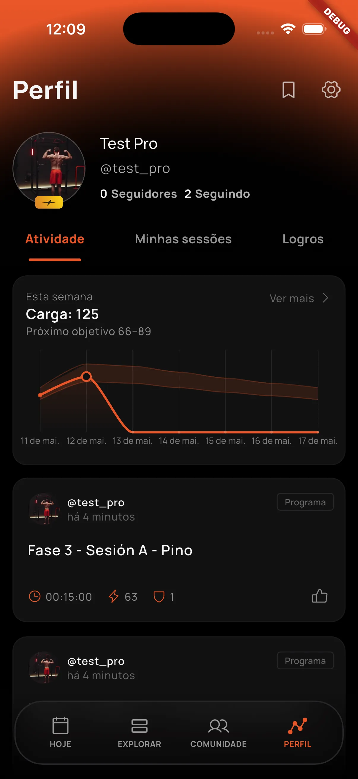 Seções do perfil