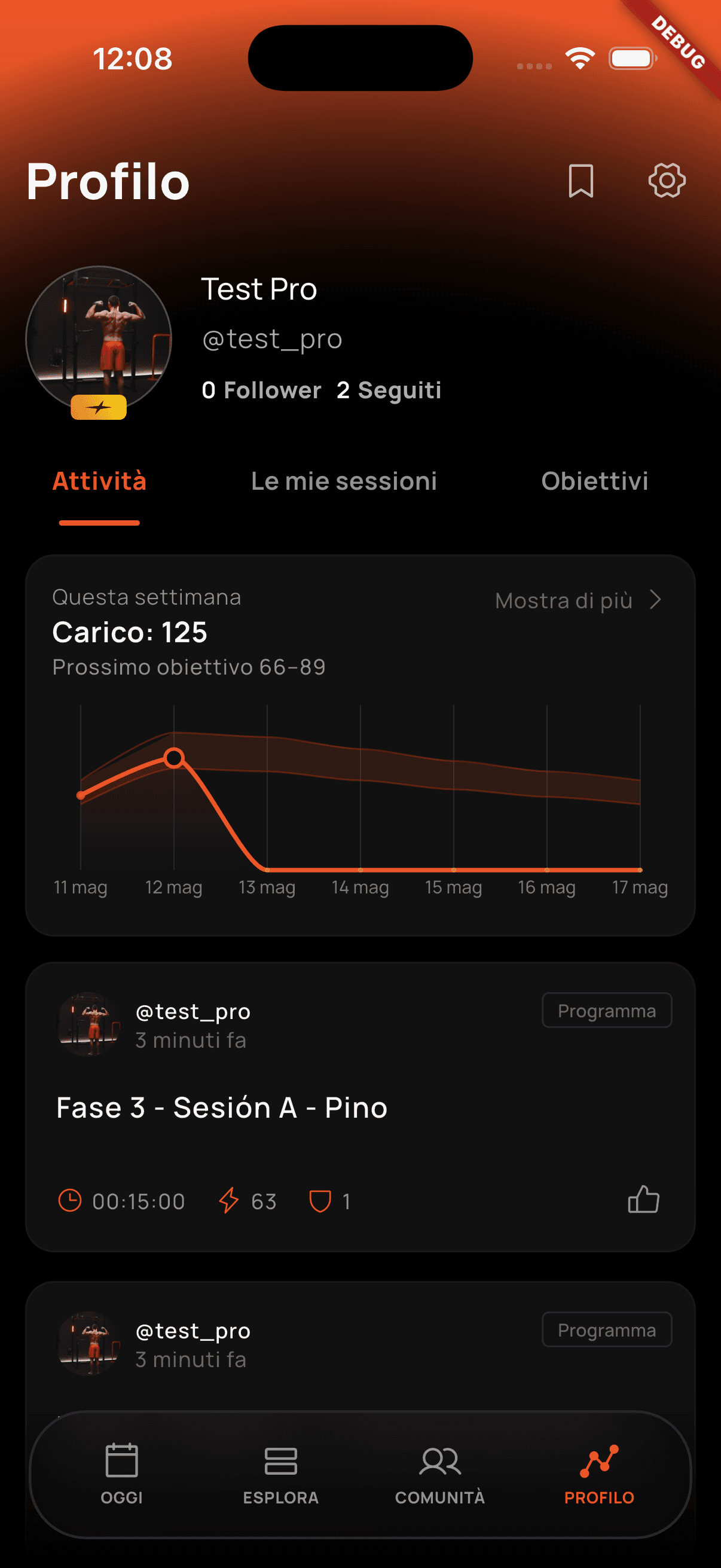 Sezioni del profilo